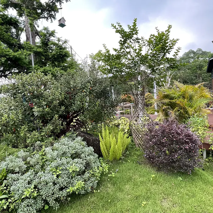 Bagaimanakah Crape Myrtle Mencipta Landskap yang Menakjubkan dan Penyelenggaraan Rendah? Bagaimanakah Crape Myrtle Mencipta Landskap yang Menakjubkan dan Penyelenggaraan Rendah?