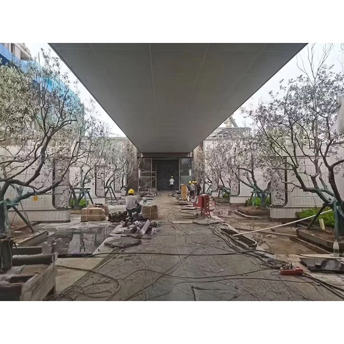 Pokok Zaitun Jalanan